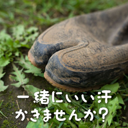 シルバー人材